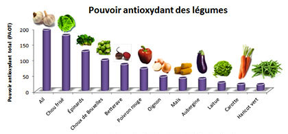 antioxydant