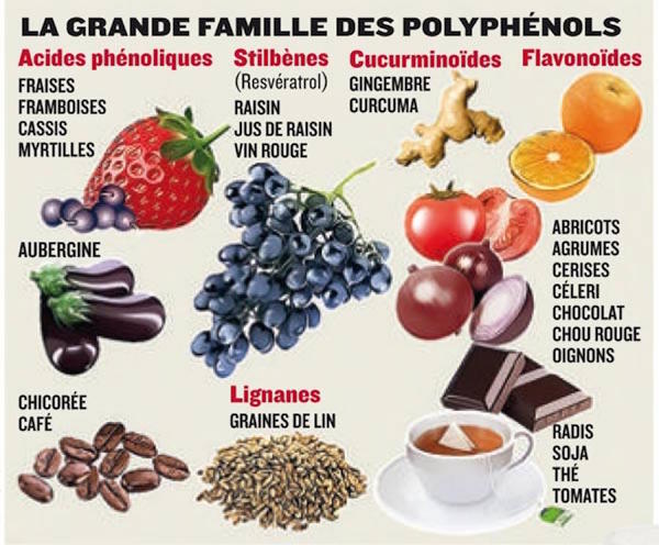 tableau polyphenols